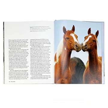 The Horse Book: Passion, Beauty, Splendor, Strength - Filled with Facts & Photos for Equine Lovers of All Ages!