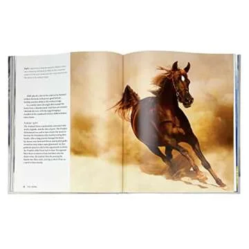 The Horse Book: Passion, Beauty, Splendor, Strength - Filled with Facts & Photos for Equine Lovers of All Ages!