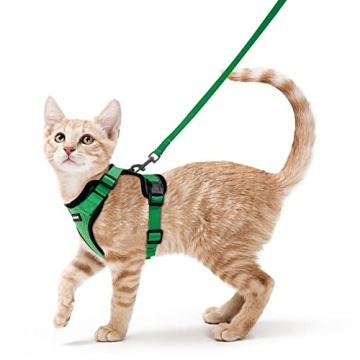 Rabbitgoo Cat Harness with Leash for Safe Adventures
