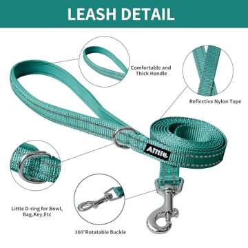 AIITLE Comfortable Dog Harness and Leash Set for Walking - Spring Step in Vest Harness,Reflective Bands, Adjustable No Pull Puppy Essentials, for Small Dogs and House Cats Pure Turquoise XS