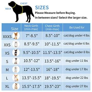 AIITLE Comfortable Dog Harness and Leash Set for Walking - Spring Step in Vest Harness,Reflective Bands, Adjustable No Pull Puppy Essentials, for Small Dogs and House Cats Pure Turquoise XS