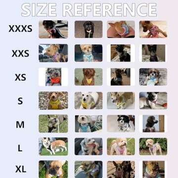 AIITLE Comfortable Dog Harness and Leash Set for Walking - Spring Step in Vest Harness,Reflective Bands, Adjustable No Pull Puppy Essentials, for Small Dogs and House Cats Pure Turquoise XS