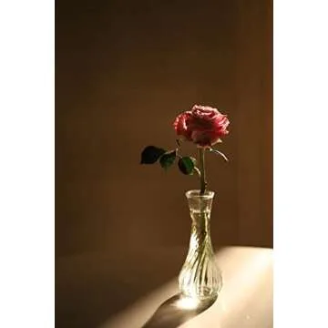 Set of 24 Glass Vase, Bud Vases in Bulk with Lace for Floral Arrangements, Events, Home Decor Weddings, Table Centerpiece (Clear, 24)