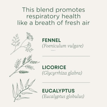 Traditional Medicinals Organic Breathe Easy Tea for Respiratory Health