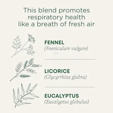 Traditional Medicinals Organic Breathe Easy Tea for Respiratory Health