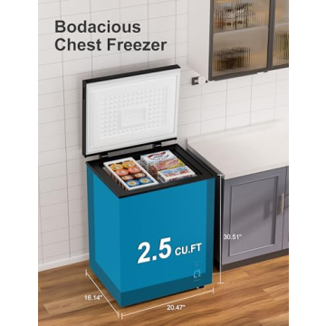 2.5 Cu.Ft Energy Efficient Chest Freezer for Home and Office