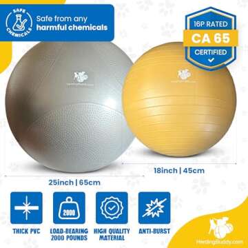 Herding Ball for Dogs - 25” Ball for Australian Shepard, Collie, Cattle Dogs & Dog Over 27 Pounds - Heavy Duty Dual Layer Cover - Thick Anti-Burst Ball - High Flow Foot Pump