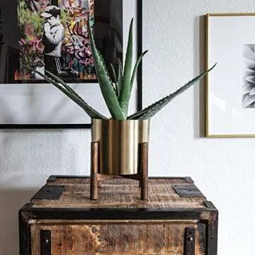 Stylish Kimisty Set of 2 Gold Planters for Home Decor