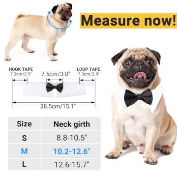 Segarty Black Bow Tie Dog Collar, Cute Tux Dog Bowtie with Handcrafted Adjustable White Collar Forma...