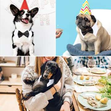 Segarty Black Bow Tie Dog Collar, Cute Tux Dog Bowtie with Handcrafted Adjustable White Collar Formal Pet Cats Puppies Necktie for Small Medium Boy Dog Wedding Birthday Gift