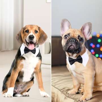 Segarty Black Bow Tie Dog Collar, Cute Tux Dog Bowtie with Handcrafted Adjustable White Collar Formal Pet Cats Puppies Necktie for Small Medium Boy Dog Wedding Birthday Gift