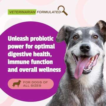 Pet Naturals Daily Probiotic for Dogs, Duck Flavor, 160 Chews - 120M CFUs Pre and Probiotics for Dog...