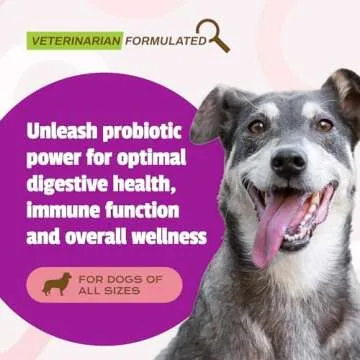 Pet Naturals Daily Probiotic for Dogs, Duck Flavor, 160 Chews - 120M CFUs Pre and Probiotics for Dog...