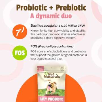 Pet Naturals Daily Probiotic Chews for Dogs - 160 Count
