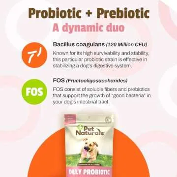 Pet Naturals Daily Probiotic Chews for Dogs - 160 Count