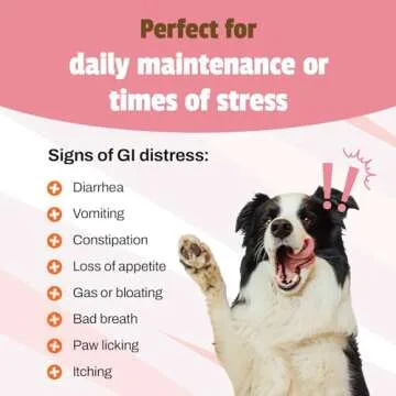 Pet Naturals Daily Probiotic Chews for Dogs - 160 Count