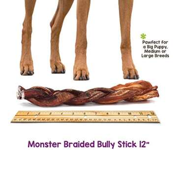 Nature Gnaws Extra Large Braided Bully Sticks for Dogs - Premium Natural Beef Dental Bones - Thick Long Lasting Dog Chew Treats for Aggressive Chewers - Rawhide Free