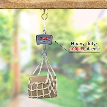 Dolibest Ceiling Hooks for Stylish Plant & Light Hanging