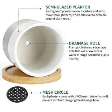 POTEY Succulent Planters Pots for Plants Indoor - 3.1 Inches Ceramic Small Planters with Bamboo Saucer for Plants Succulent Cactus House Office Decor 055403, 3 PCS, Plant NOT Included