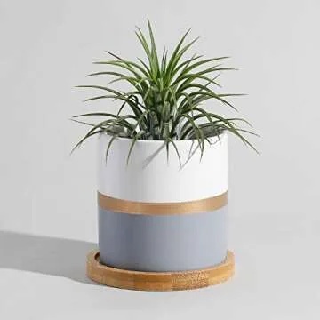 POTEY 3.1 Inch Ceramic Succulent Planters Set