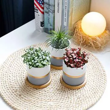 POTEY 3.1 Inch Ceramic Succulent Planters Set