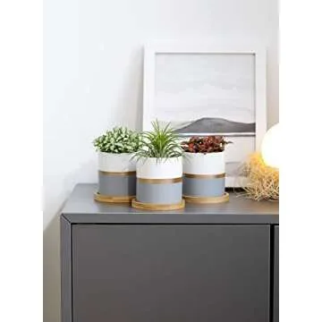 POTEY 3.1 Inch Ceramic Succulent Planters Set