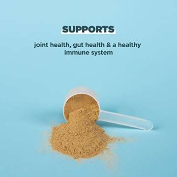 Ancient Nutrition Protein Powder Made from Real Bone Broth, Chocolate, 20g Protein Per Serving, 20 Serving Tub, Gluten Free Hydrolyzed Collagen Peptides Supplement, Great in Protein Shakes