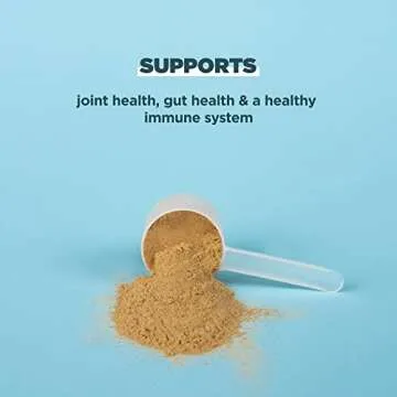 Ancient Nutrition Bone Broth Protein Powder with 20g Protein