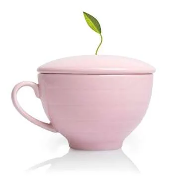 Tea Forte Jardin 3-Piece Tea Gift Set with Pink Cafe Cup with Lid, Tea Tray and 10 Assorted 2 of Each Variety Organic Handcrafted Pyramid Infuser Tea Bags