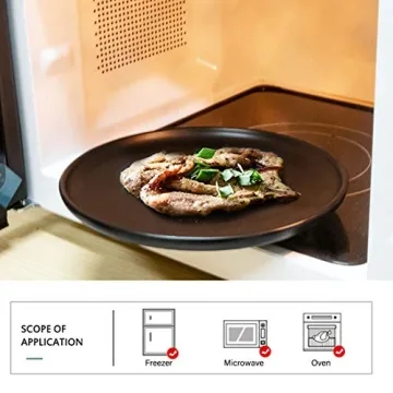 BonNoces Elegant Black Dinner Plates Set of 6