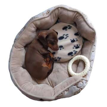 The 'Original' Snugglesafe Microwave Heating Pad Disc Microwavable Heated Pet Bed.