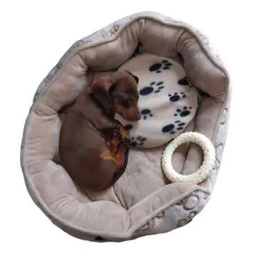 Original Snugglesafe Heating Pad Disc for Pets