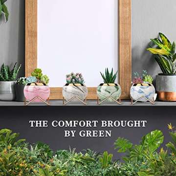 EZEJIAO Cute Ceramic Succulent Pots, Unique Garden Pots with Drainage and Saucer, Modern Cactus Pots...