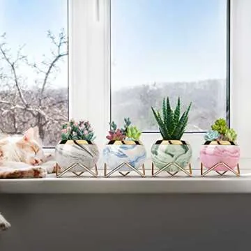 EZEJIAO Cute Ceramic Succulent Pots, Unique Garden Pots with Drainage and Saucer, Modern Cactus Pots Planters for Gifts, Home Gardening and Office Desk Decorations