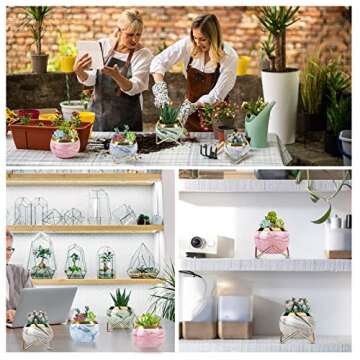 EZEJIAO Cute Ceramic Succulent Pots, Unique Garden Pots with Drainage and Saucer, Modern Cactus Pots Planters for Gifts, Home Gardening and Office Desk Decorations