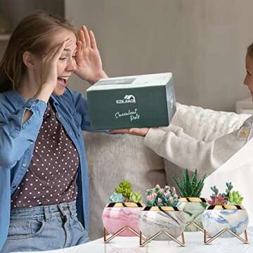 EZEJIAO Cute Ceramic Succulent Pots, Unique Garden Pots with Drainage and Saucer, Modern Cactus Pots Planters for Gifts, Home Gardening and Office Desk Decorations
