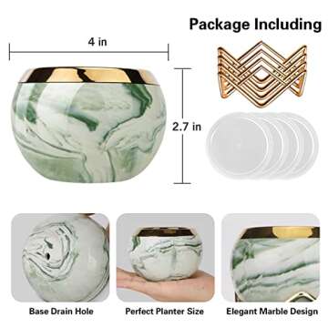 EZEJIAO Cute Ceramic Succulent Pots, Unique Garden Pots with Drainage and Saucer, Modern Cactus Pots Planters for Gifts, Home Gardening and Office Desk Decorations