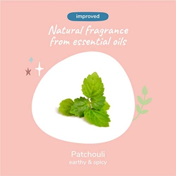 Natural Dog & Cat Shampoo and Conditioner Set - kin+kind