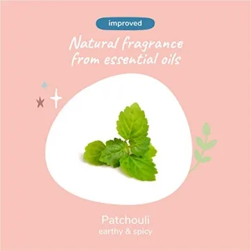 Natural Dog & Cat Shampoo and Conditioner Set - kin+kind