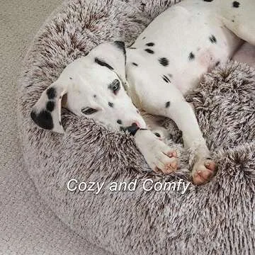 Jiupety Cute Round Calming Dog Bed of Paw Shape, Pet Large Plush Dog Donut Bed for Medium Large Breed Dog, Soft, Comfy and Cozy Doggie Bed with Bolster, Gray