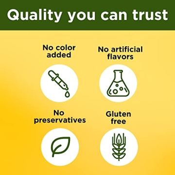 Nature Made Turmeric Curcumin 500 mg Antioxidant Supplement