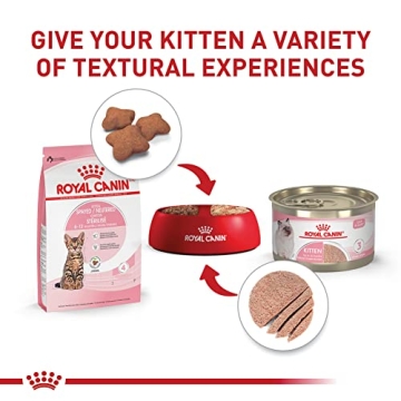 Royal Canin Kitten Spayed/Neutered Dry Cat Food 2.5 lb