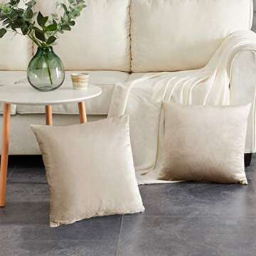 GIGIZAZA Velvet Throw Pillow Covers Set of 2