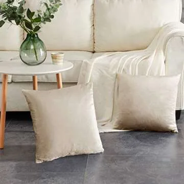 GIGIZAZA Velvet Throw Pillow Covers Set of 2