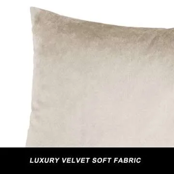 GIGIZAZA Velvet Throw Pillow Covers Set of 2