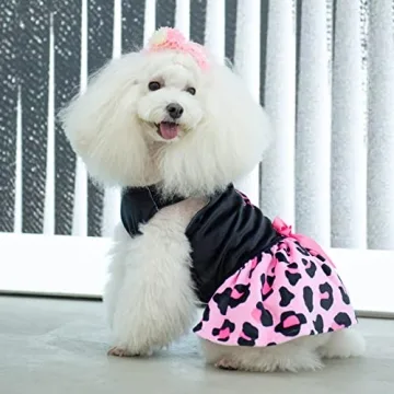 CuteBone Sassy Pants Velvet Dress for Small Dogs