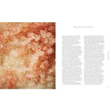 The Beauty Chef Gut Guide: 90+ Recipes & Meal Plans