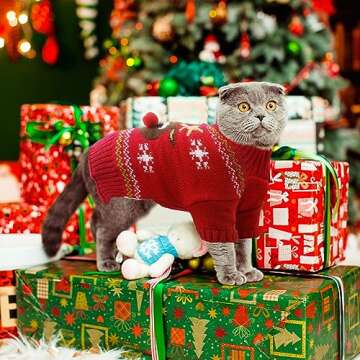 ABRRLO Ugly Christmas Dog Sweater for Festive Fun