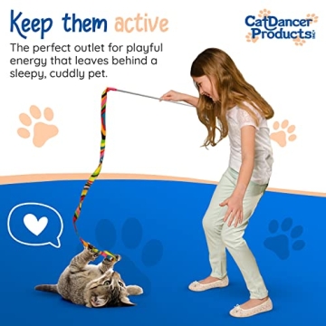 Cat Dancer Charmer Interactive Toy for Cats