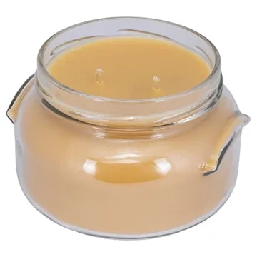 Tyler Mulled Cider Scented Candle 22oz Fall Aroma Gift